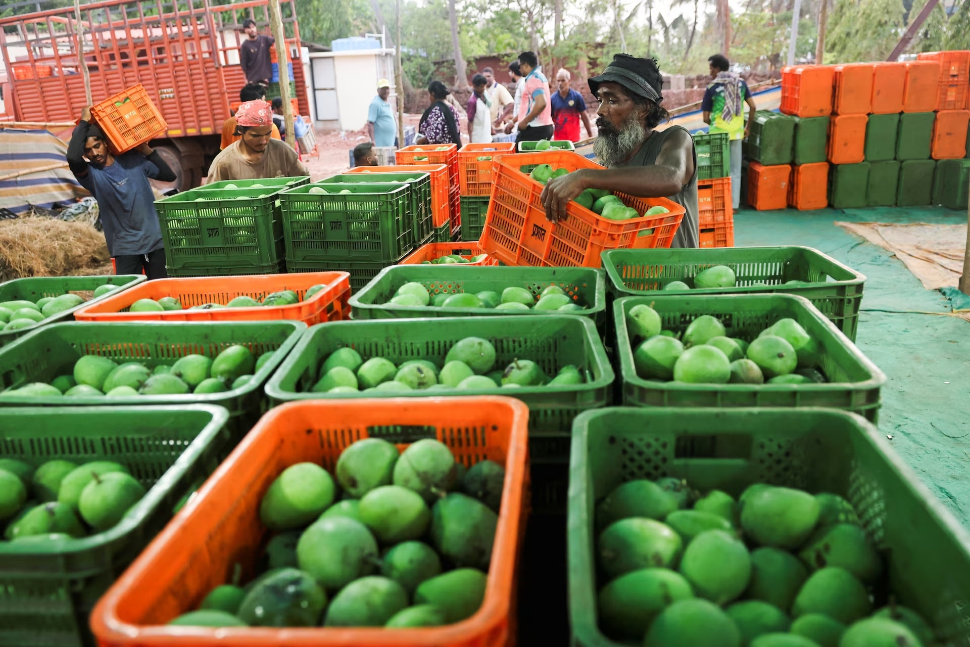 nông nghiệp quốc tế tuần quà chịu những cảnh báo rõ rệt về nguy cơ mất an ninh lương thực