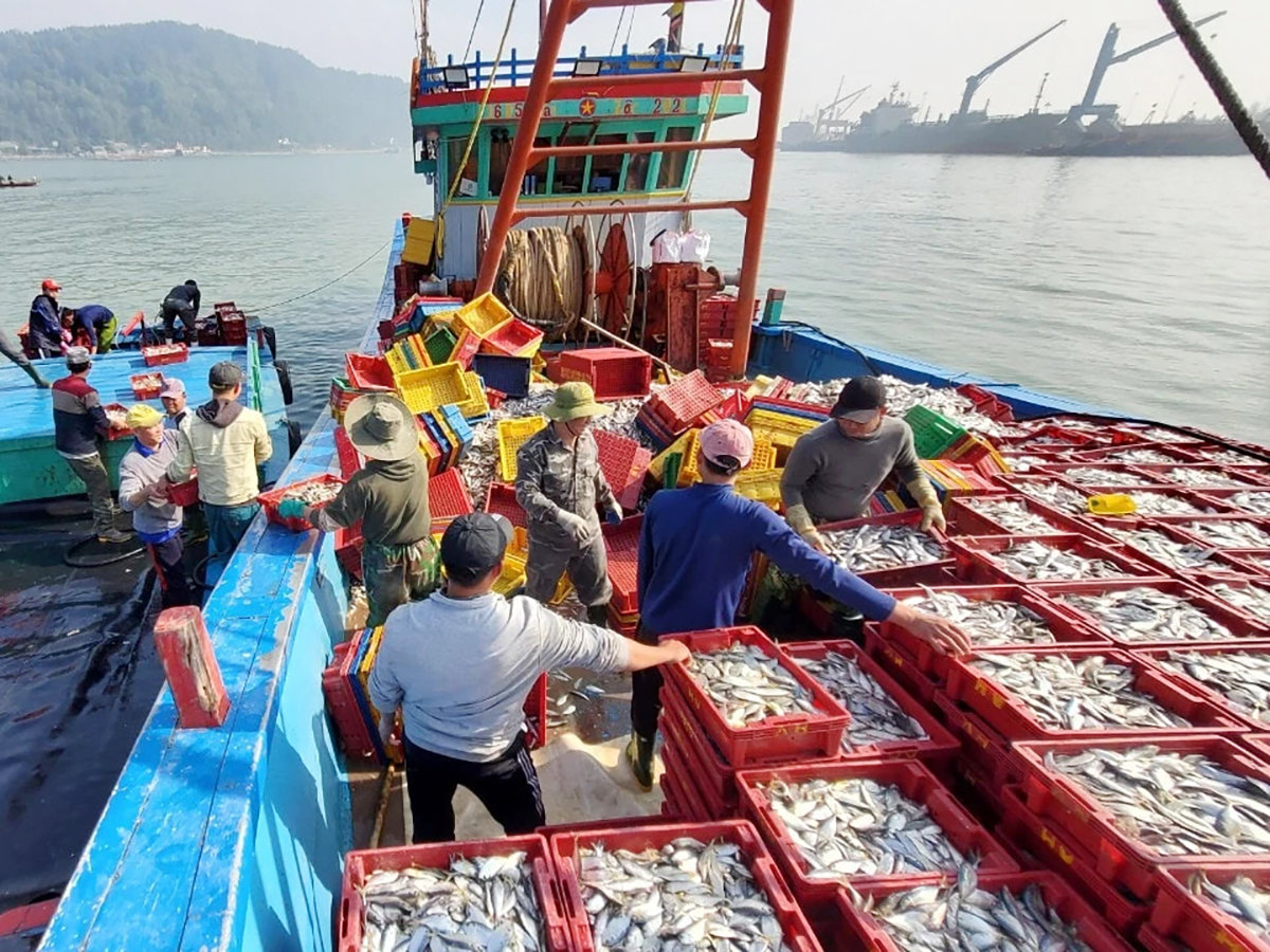 Dịch chuyển ra đại dương, câu chuyện không còn dừng ở bài toán kinh tế, nó là câu chuyện sinh kế gắn liền với sóng nước và an ninh chủ quyền. Ảnh: DPND