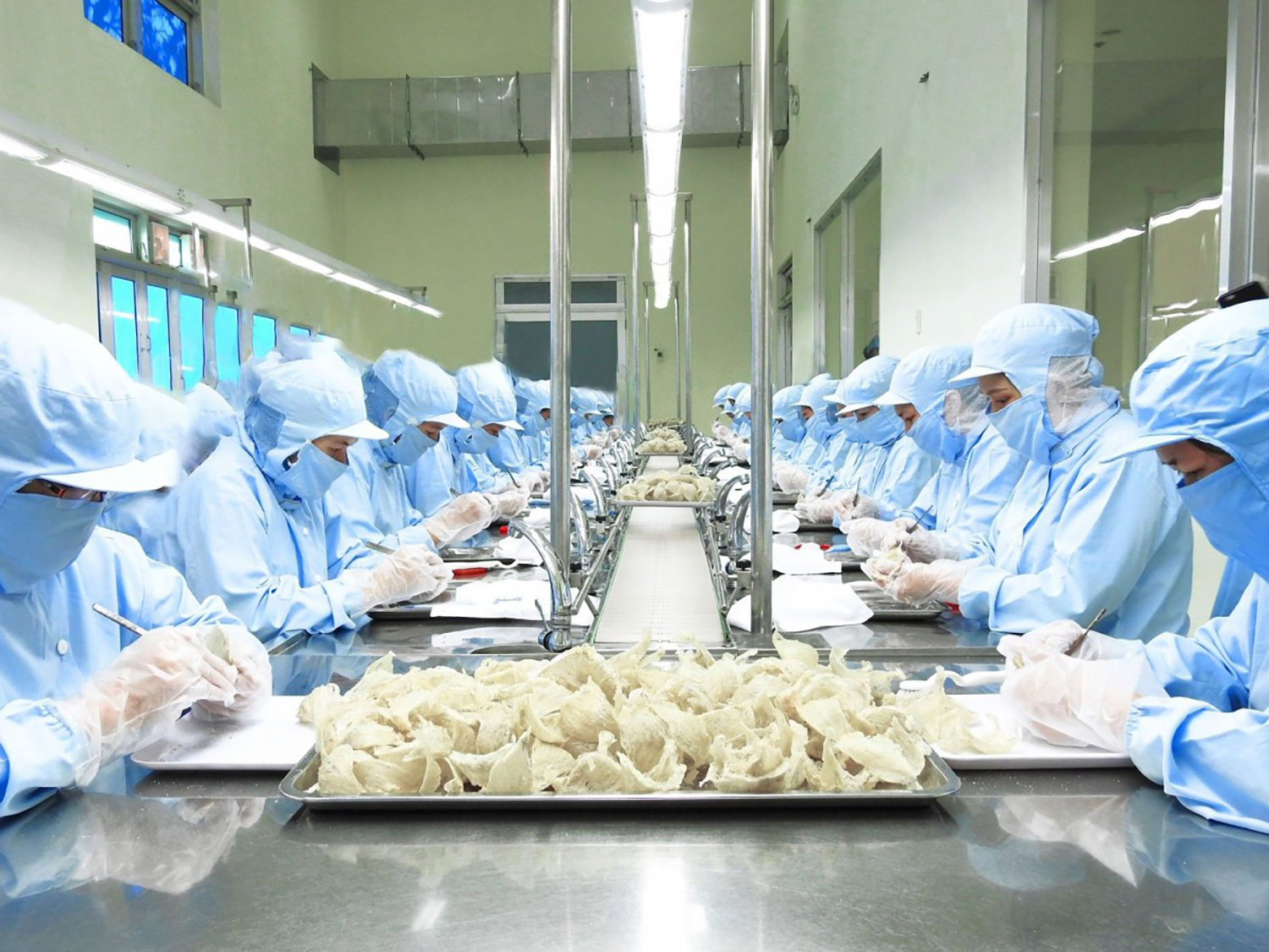 Nông nghiệp Việt: Nghịch lý tỷ USD và phận gia công trên sân nhà | Bài 2