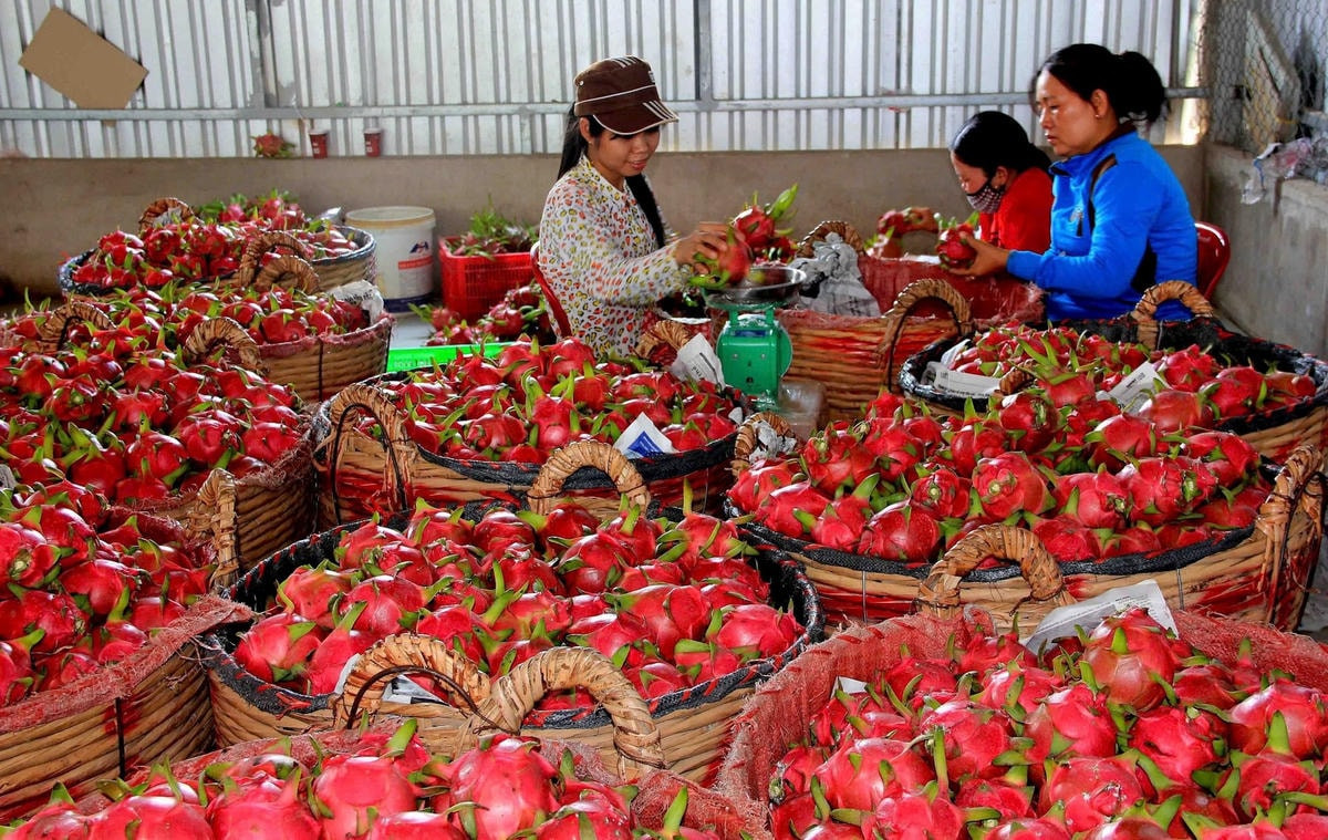 nông sản Việt xuất khẩu