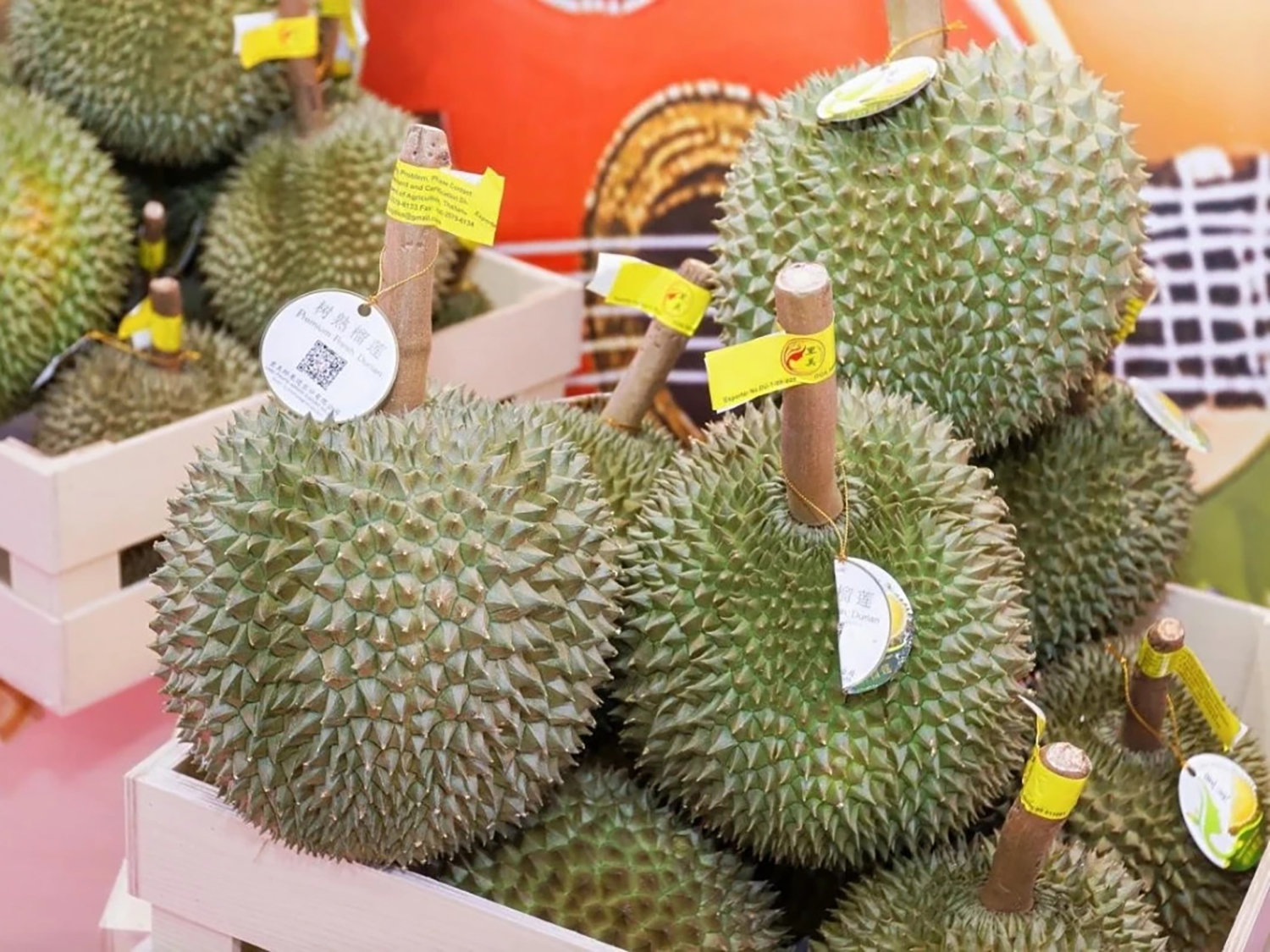 Nông sản ASEAN cập Cảng đường sắt quốc tế Nam Ninh (Trung Quốc). Ảnh: VOV