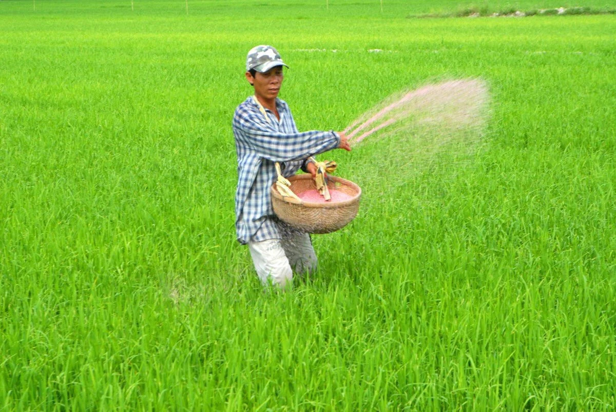 Hậu kiểm phân bón nhập khẩu: Đừng để 'sự đã rồi'