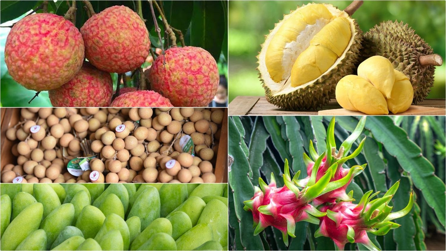 Nông sản Việt sang Trung Quốc: Cần bỏ tư duy 'có gì bán nấy' 