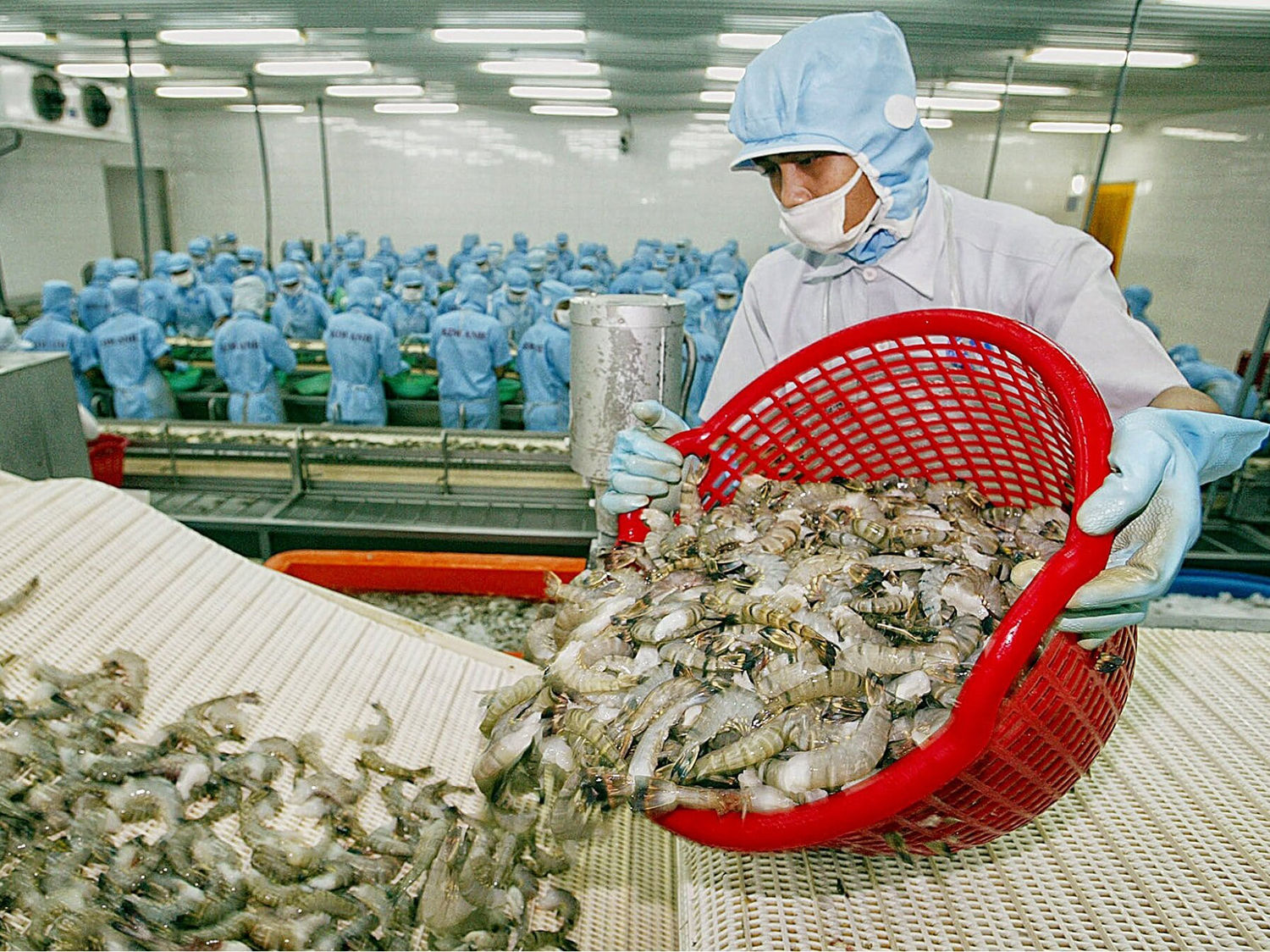 Câu hỏi 