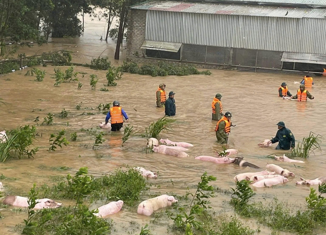 quản trị rủi ro thiên tai