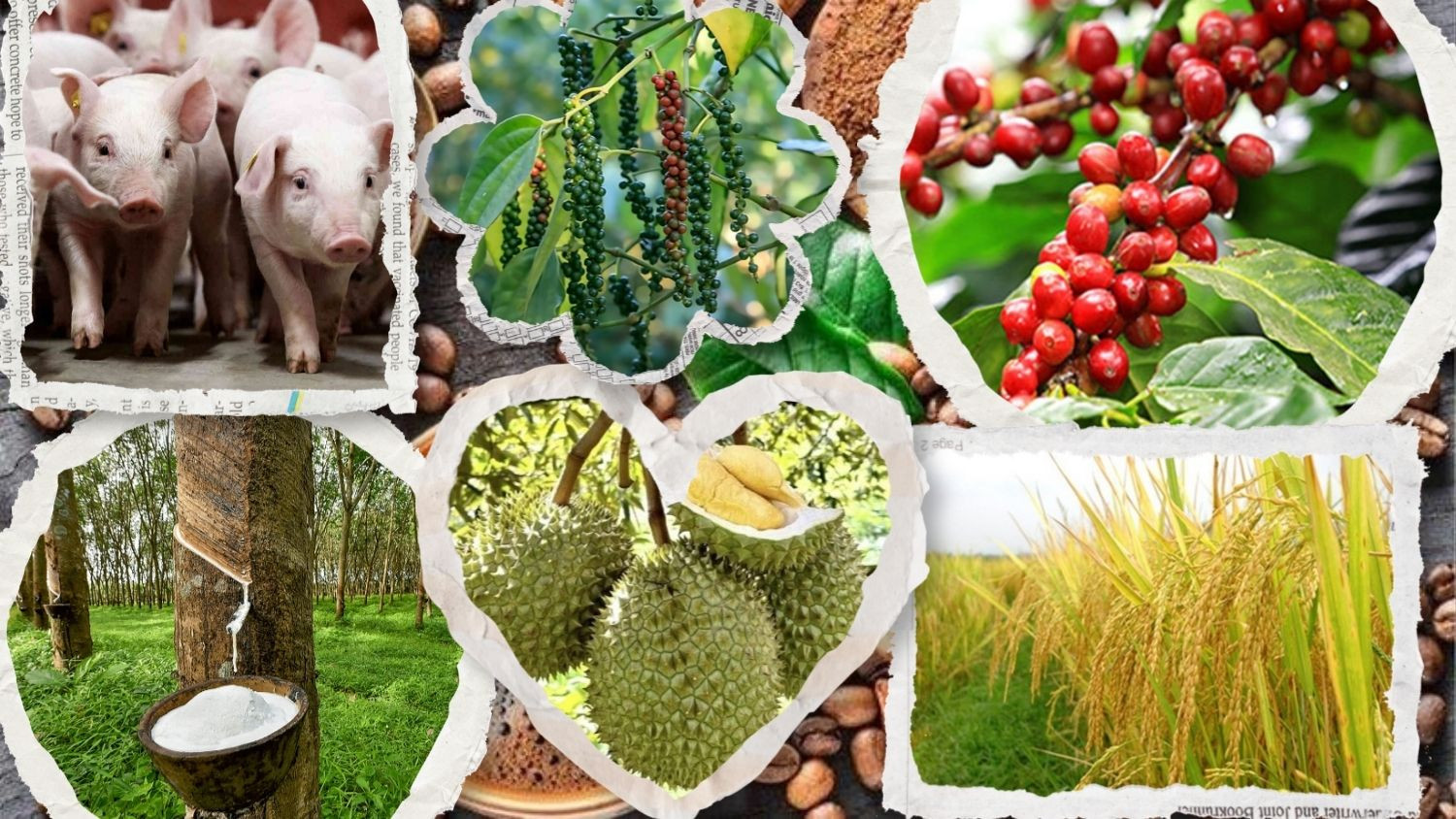thị trường nông sản sáng 30/6/2026 ghi nhận những diễn biến đa chiều.