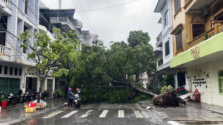 bão số 1
