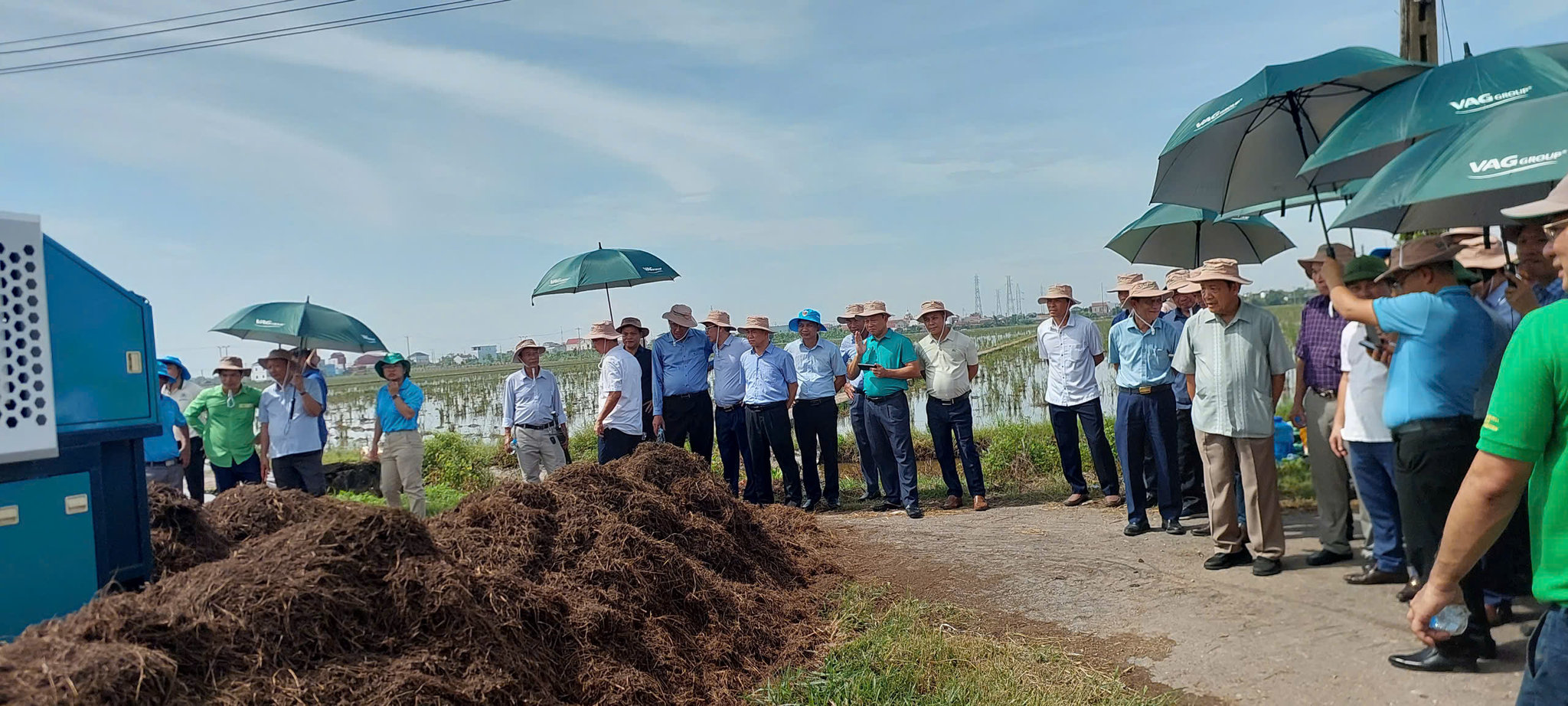 Khởi động chuỗi liên kết lúa xanh với sự đồng hành của IRRI và USDA