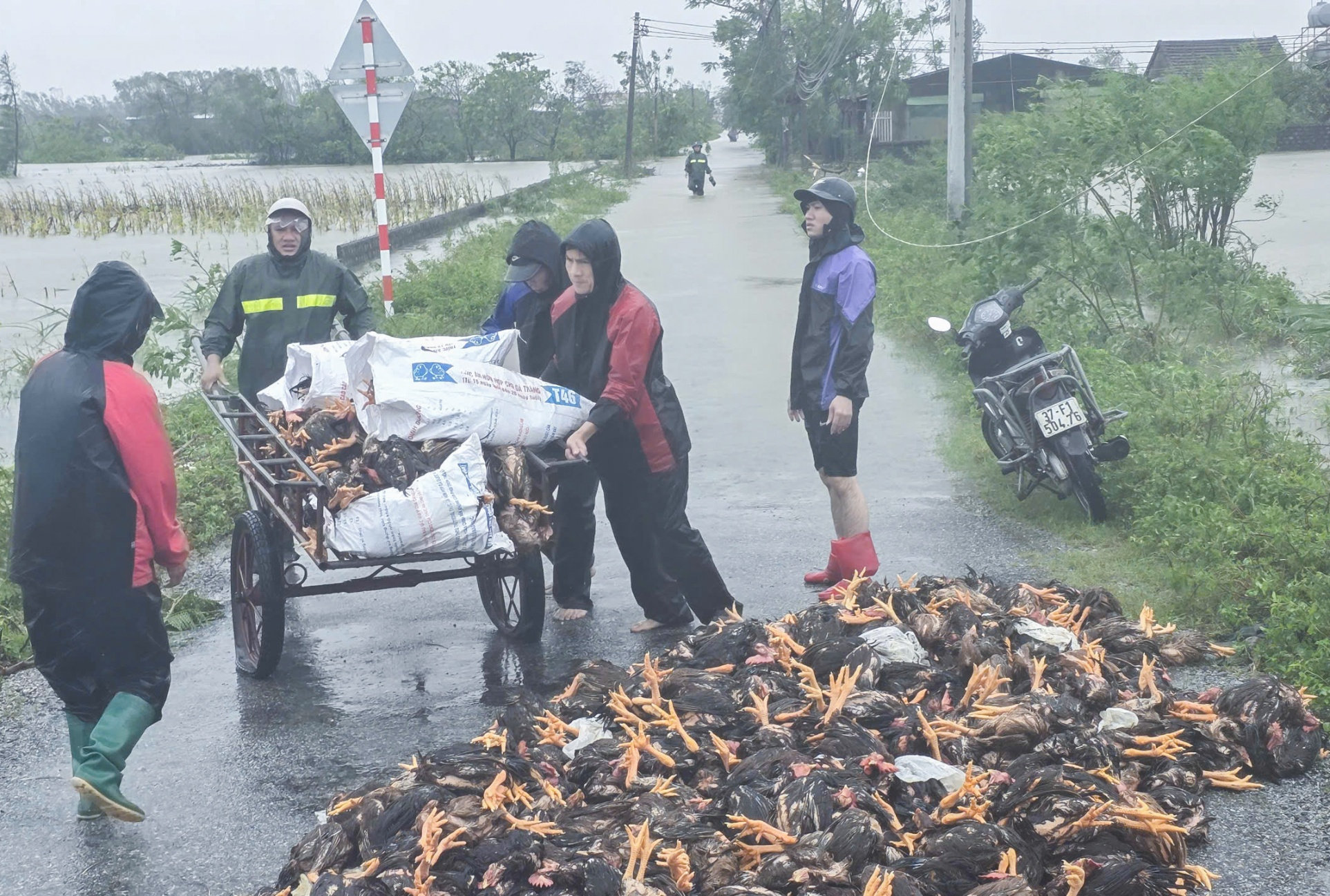 Mưa bão vào mùa - bài toán bảo hiểm nông nghiệp, sao giải không ra? 