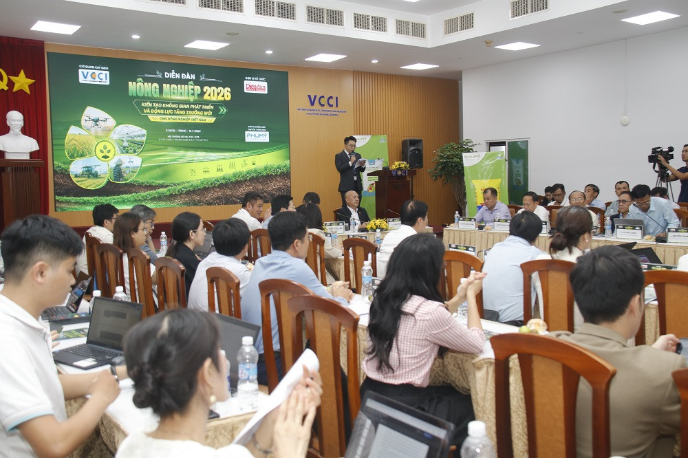 3toan-canh-dien-dan-nn.jpg