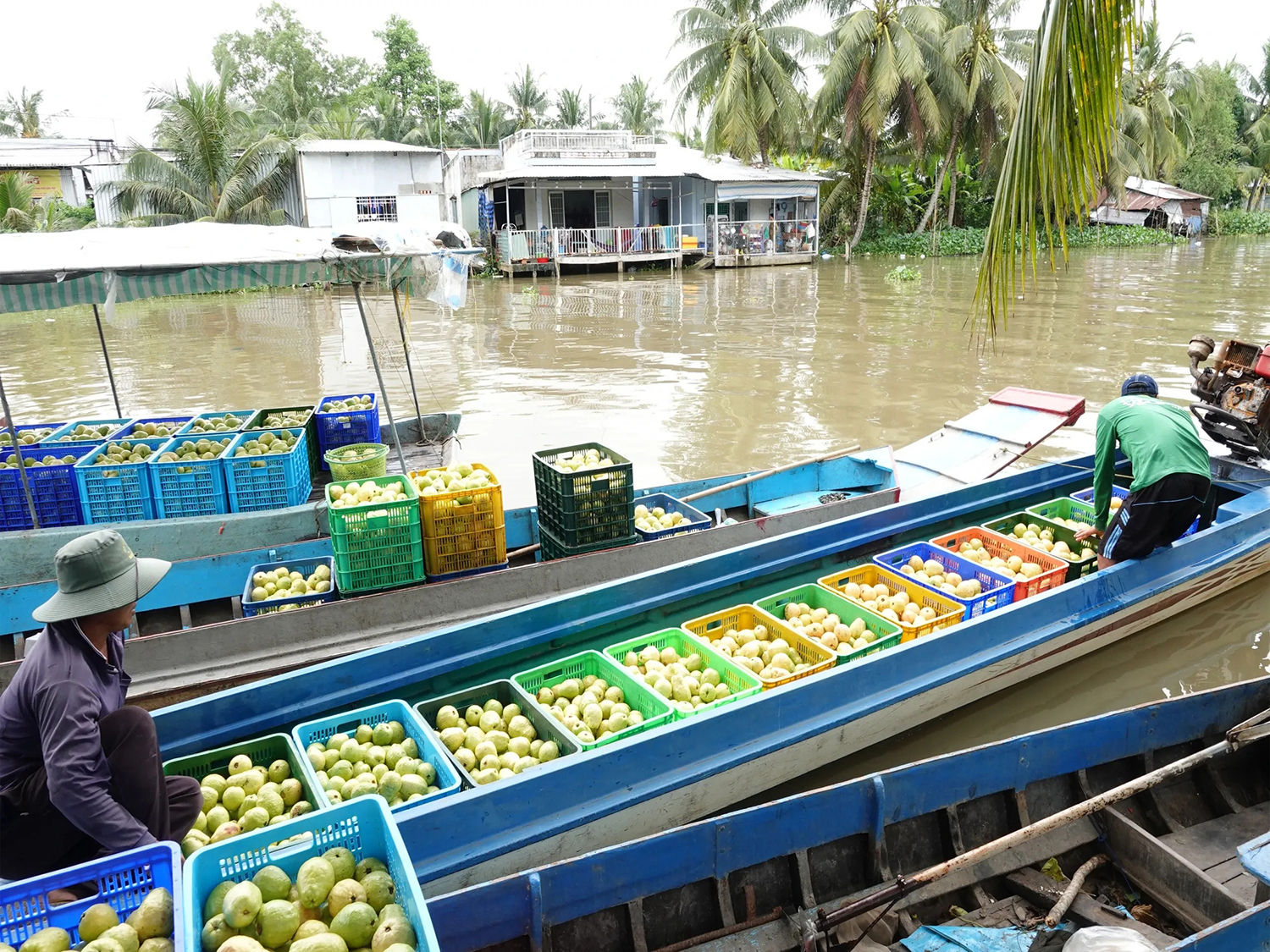Sự đứt gãy giữa hạ tầng nội đồng và cảng biển tại ĐBSCL vẫn thiếu các nhánh kết nối, nông sản vẫn sẽ bị