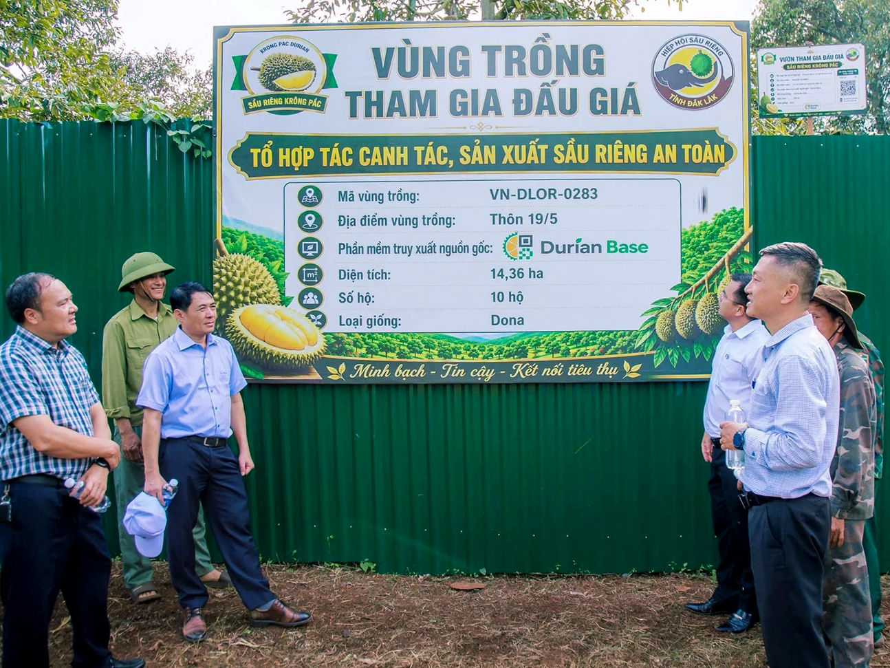 Việc tổ chức đấu giá sầu riêng tại vườn được kỳ vọng tạo nên điểm nhấn trong chuỗi sự kiện của Lễ hội Sầu riêng Đắk Lắk năm 2026. Ảnh: Tuấn Trần (báo nongnghiepmt)