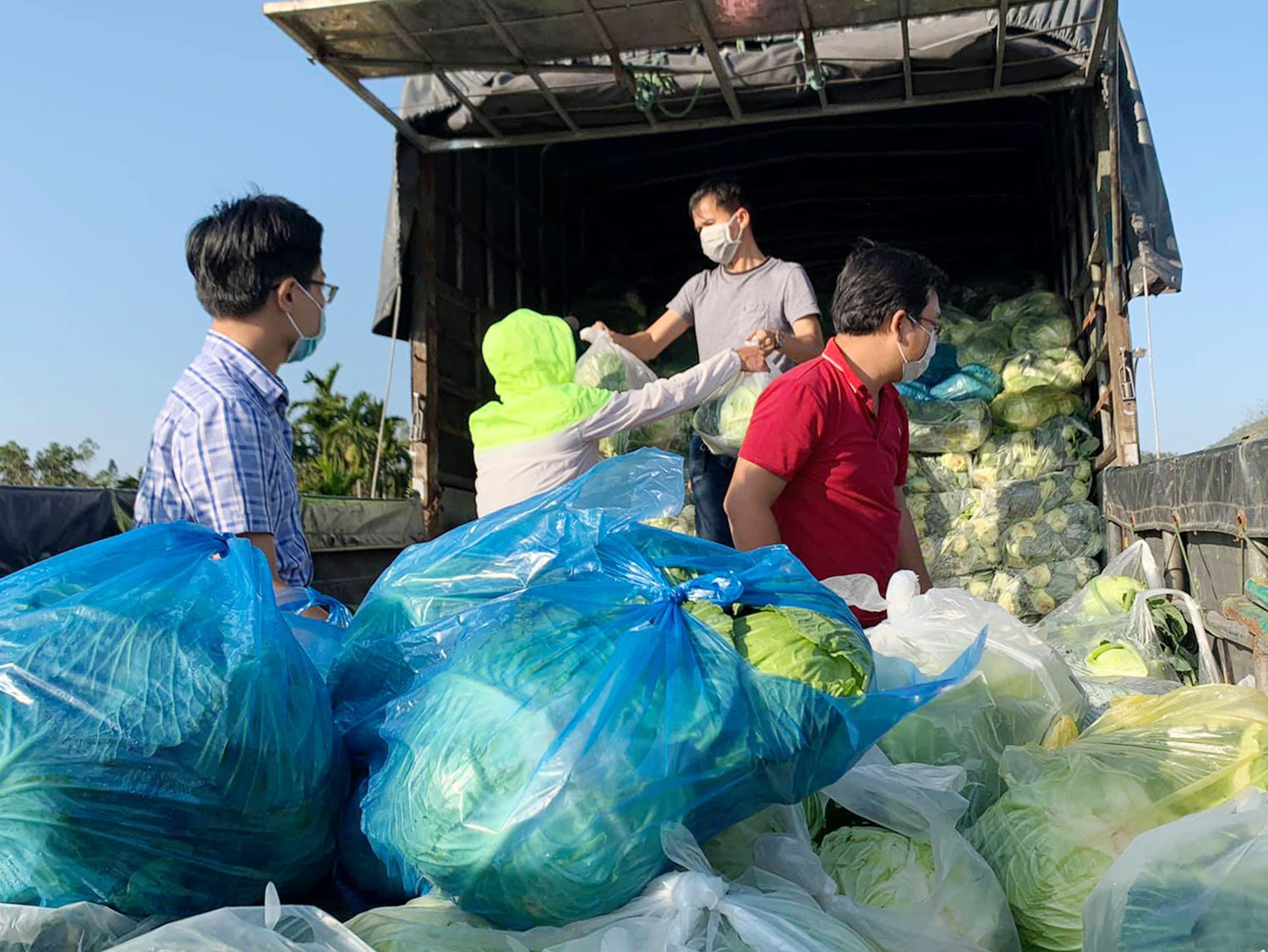 Chi phí trung chuyển phát sinh, vô hình trung biến sản phẩm nông nghiệp thành gánh nặng ngay khi vừa rời khỏi đất. Ảnh: VNE