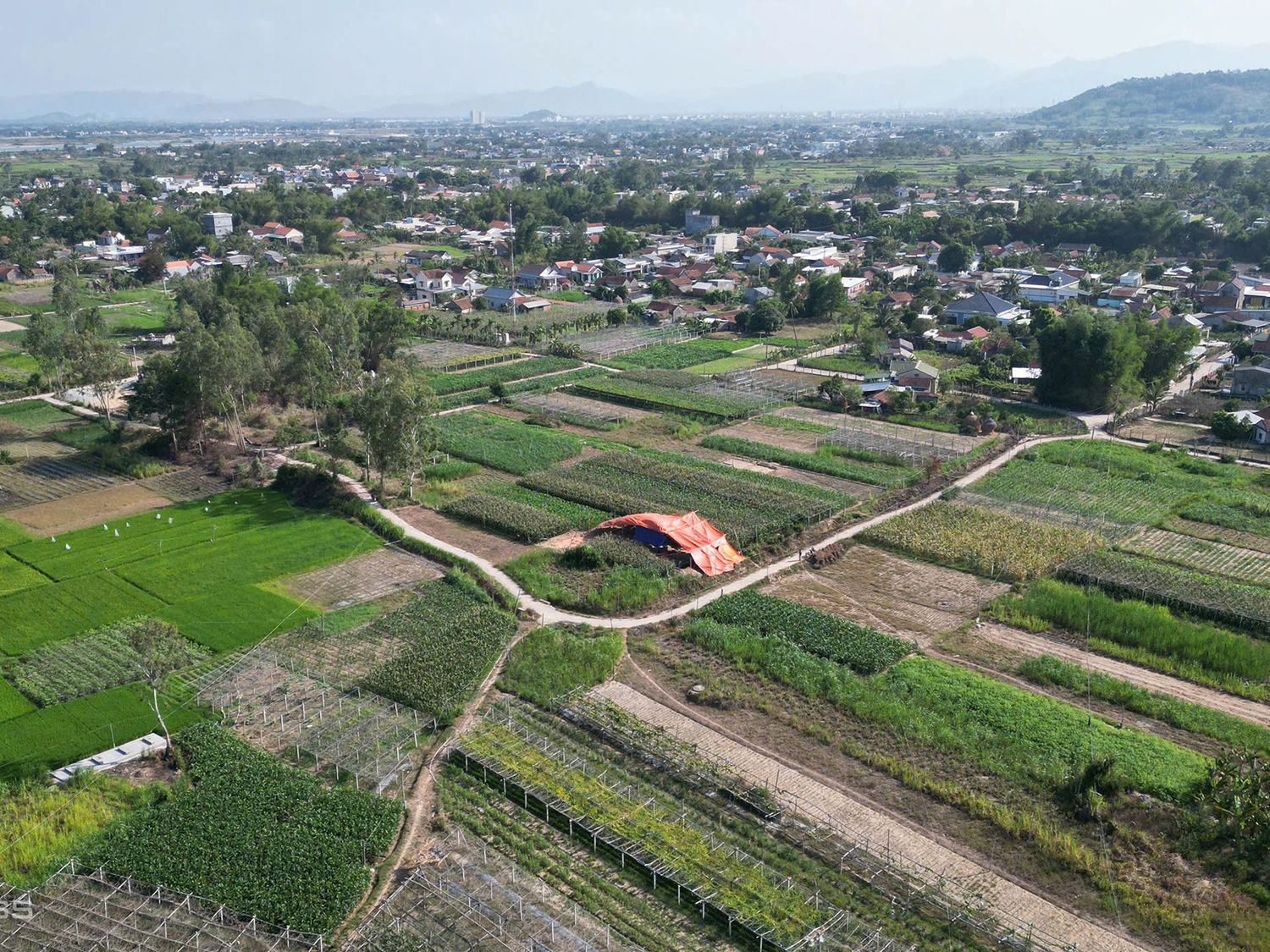 Khu vực khai quật phát hiện các lò nung. Ảnh: Phạm Linh
