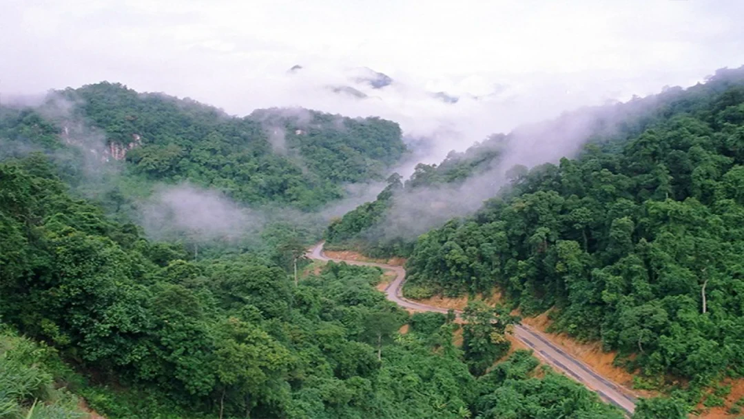Hòa bình là việc một con đường từng hứng bom giờ có thể đưa người qua lại giữa rừng xanh Trường Sơn.