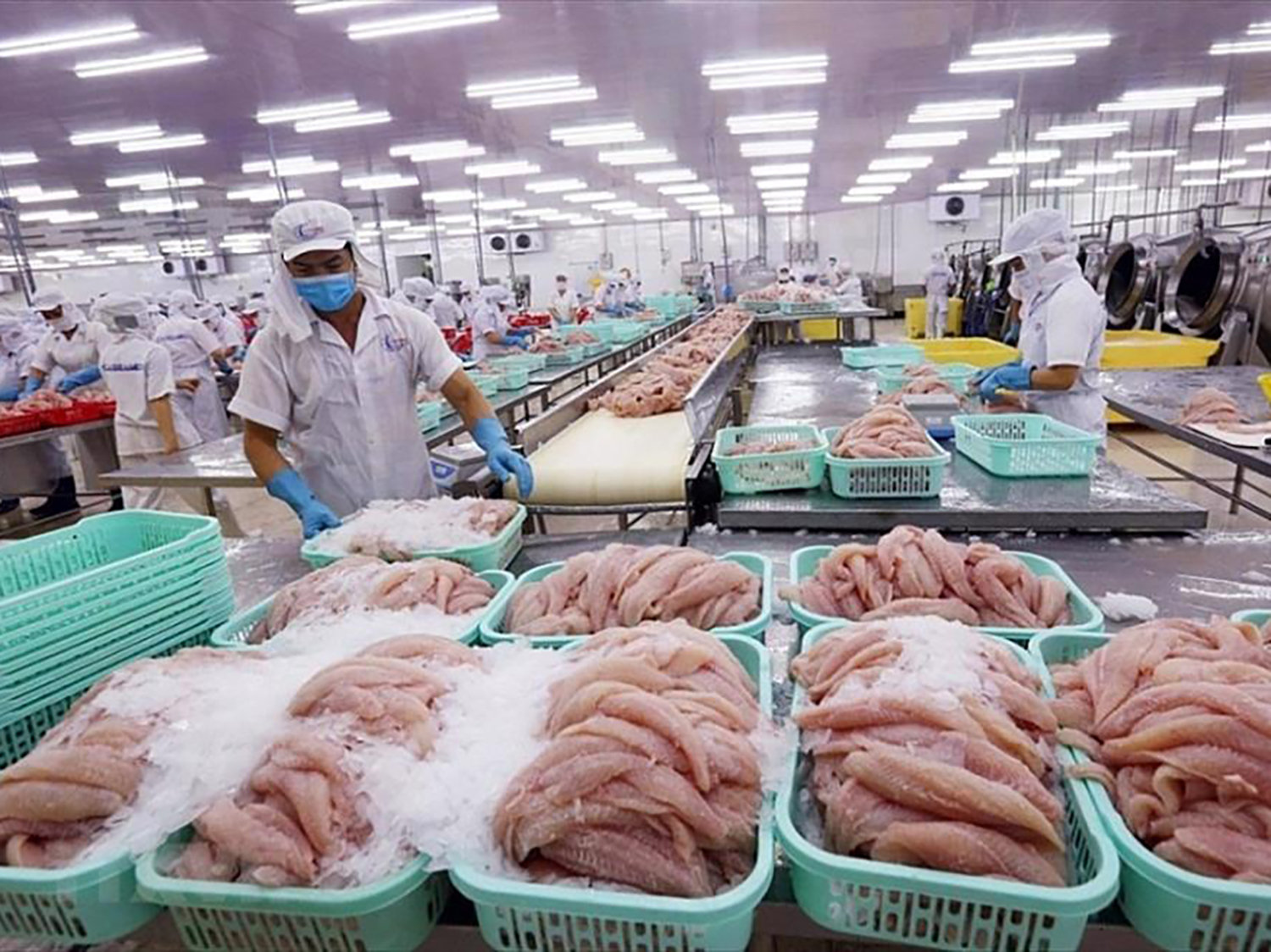 Ước tính trong 7 tháng đầu năm, tổng kim ngạch xuất khẩu nông lâm thủy sản đã chạm mốc 42,8 tỷ USD