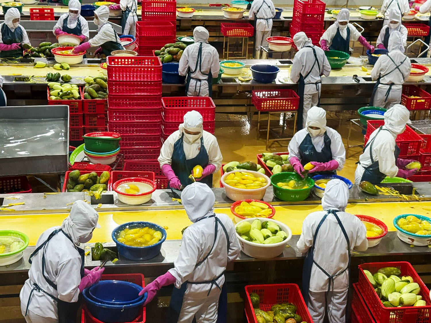 Ngành rau quả, dù luôn được xướng tên là tiền đạo, nhưng đâu có thoát được bẫy việt vị. Ảnh: VNE