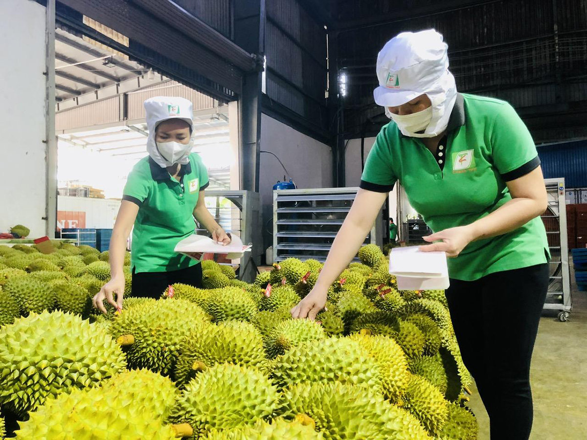 Chỉ đạo của Chính phủ: Nhìn từ bài học ‘nóng’ sầu riêng