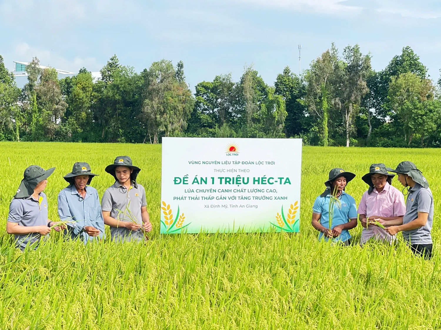 Một trong những thay đổi lớn nhất của Đề án là chuyển từ sản xuất nhỏ lẻ sang tổ chức sản xuất theo vùng nguyên liệu. Ảnh: NNMT