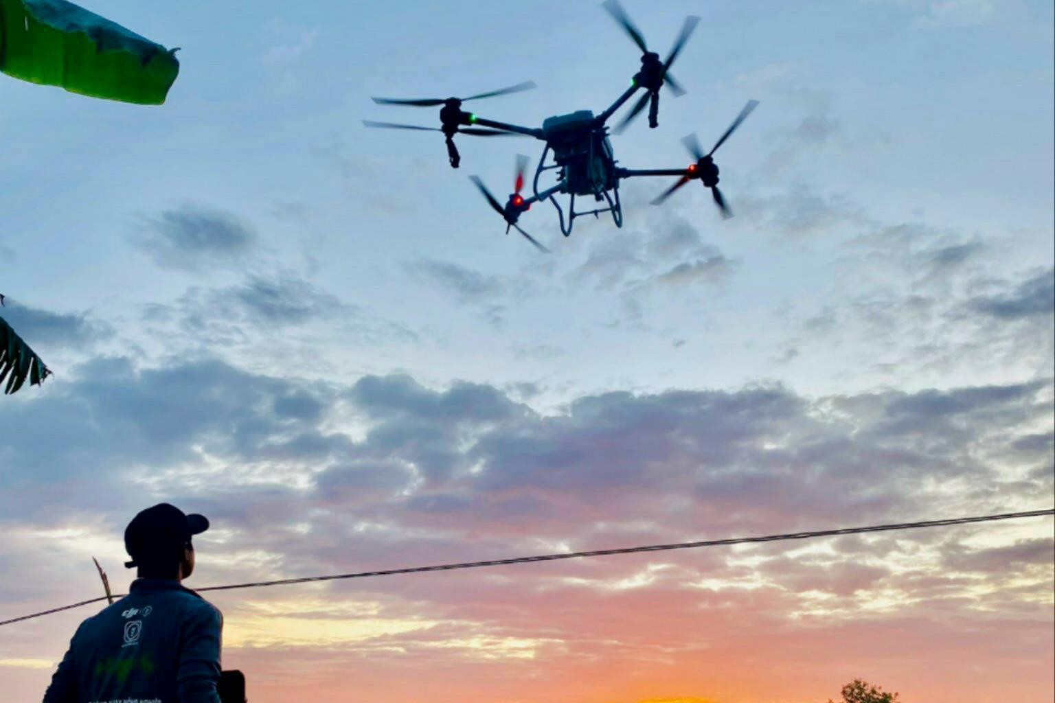 Mua drone làm ruộng, lại... kiếm tiền từ drone 