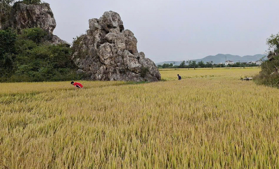 anh dai dien