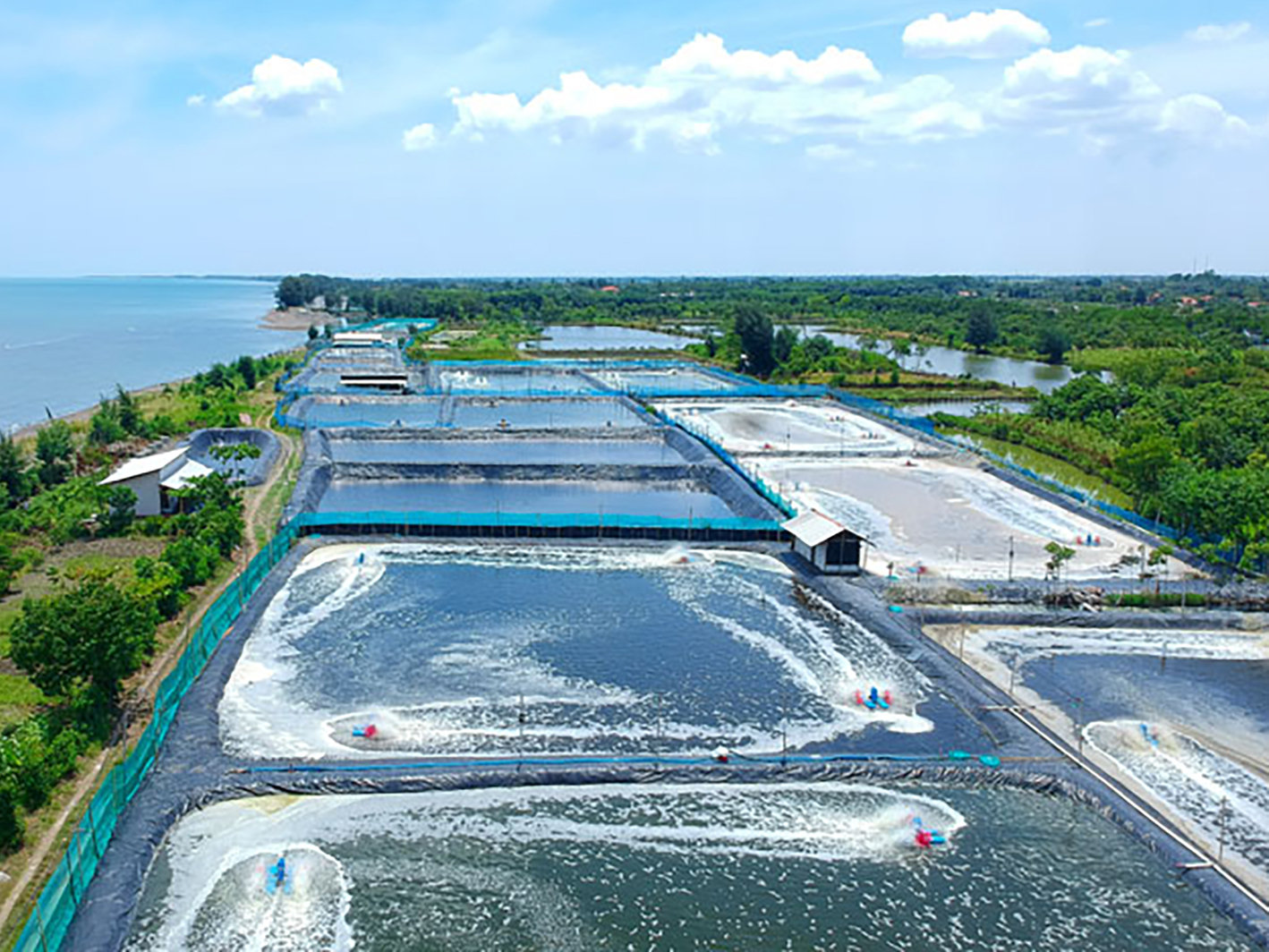 Thực tế tại Việt Nam, nhất là khu vực ĐBSCL, rất nhiều vùng nuôi tôm, cá tại các tỉnh ven biển hình thành đan xen trong các dải rừng ngập mặn từ nhiều thập kỷ trước. Ảnh TL