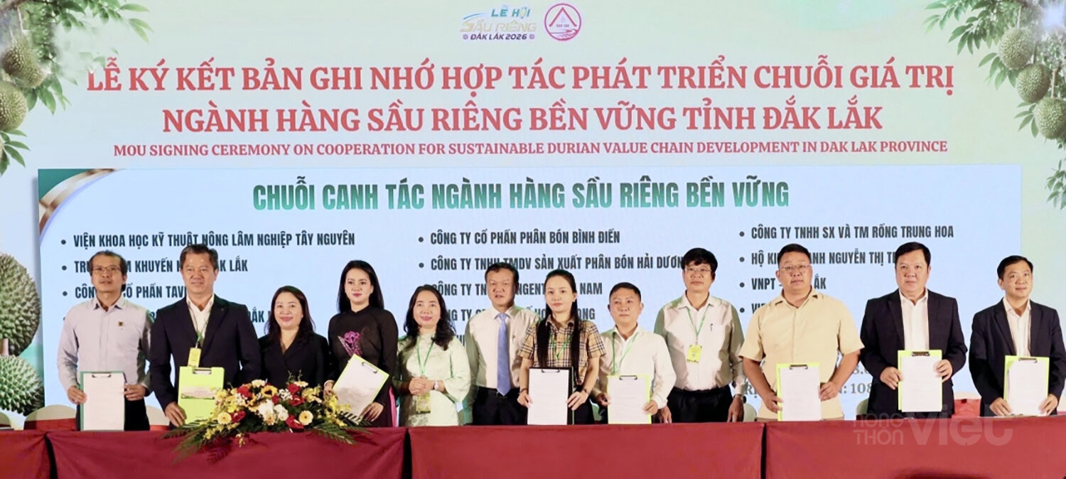 Gần 9.000 tỷ đồng cam kết đầu tư vào chuỗi giá trị sầu riêng Đắk Lắk.