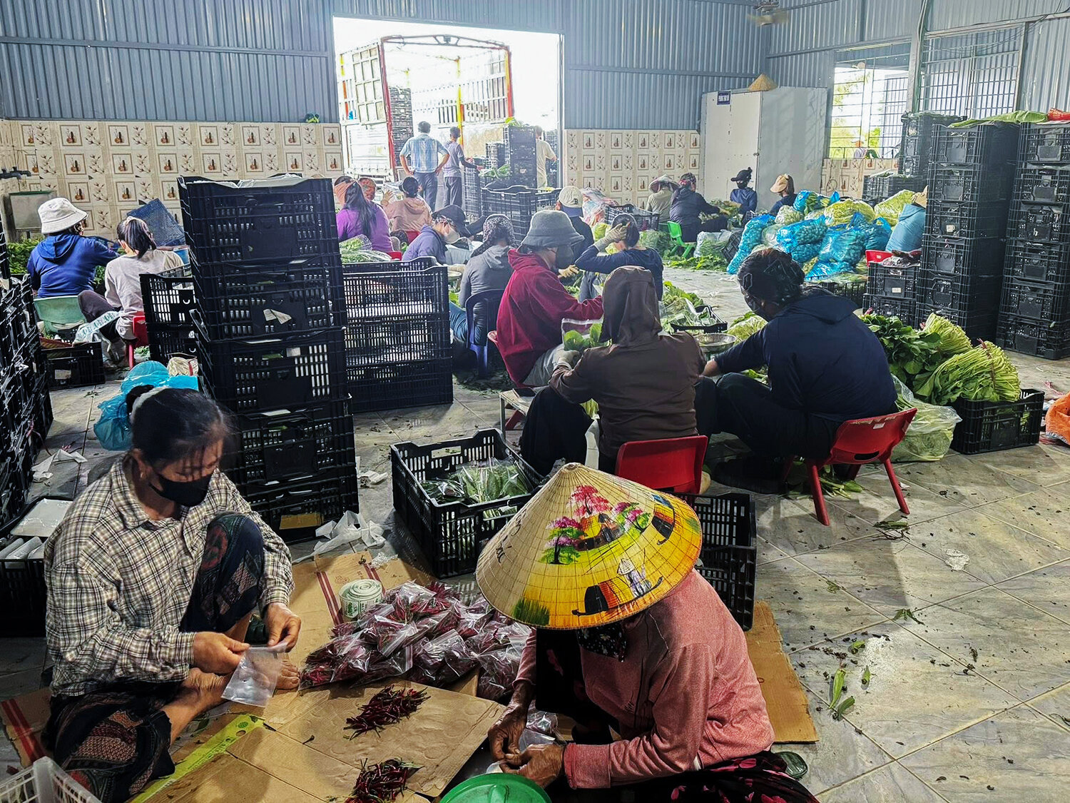 Từng bó rau, quả mướp, củ hành đều được quản lý theo nguồn gốc cụ thể.