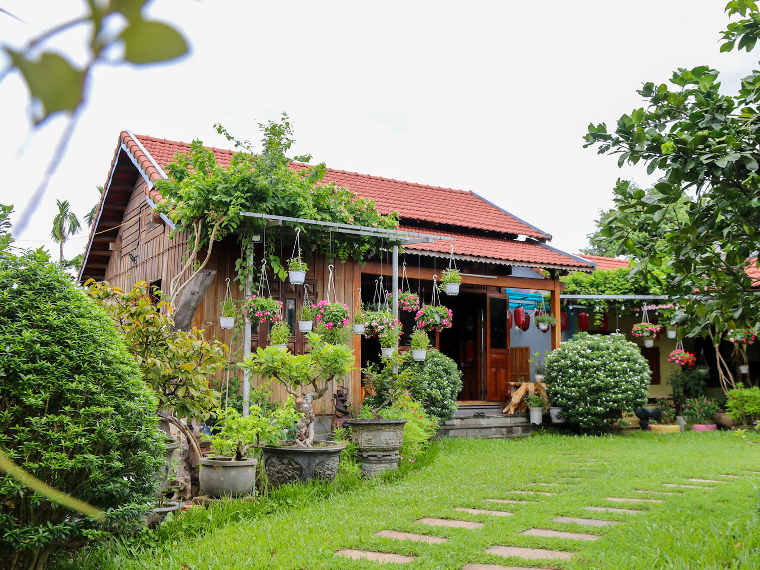 le hoi dai binh 2