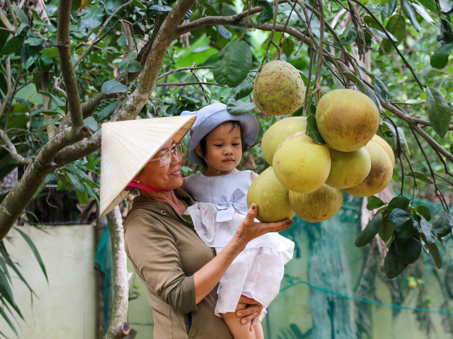 le hoi dai binh 3