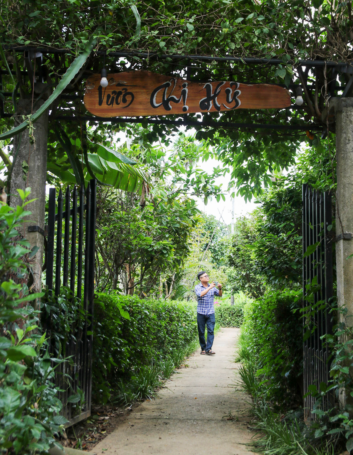 le hoi dai binh 5 (1)