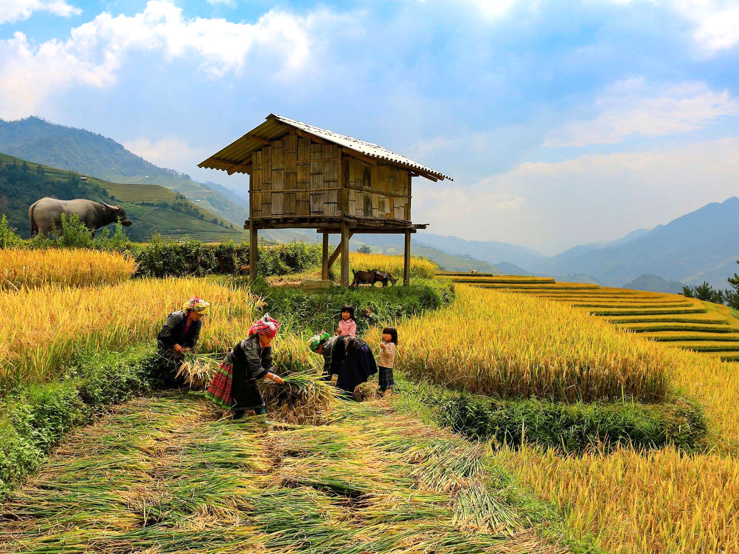 Một hộ nghèo ở vùng đồng bào dân tộc thiểu số có thể cùng lúc cần sinh kế, nhà ở... Ảnh: THCL