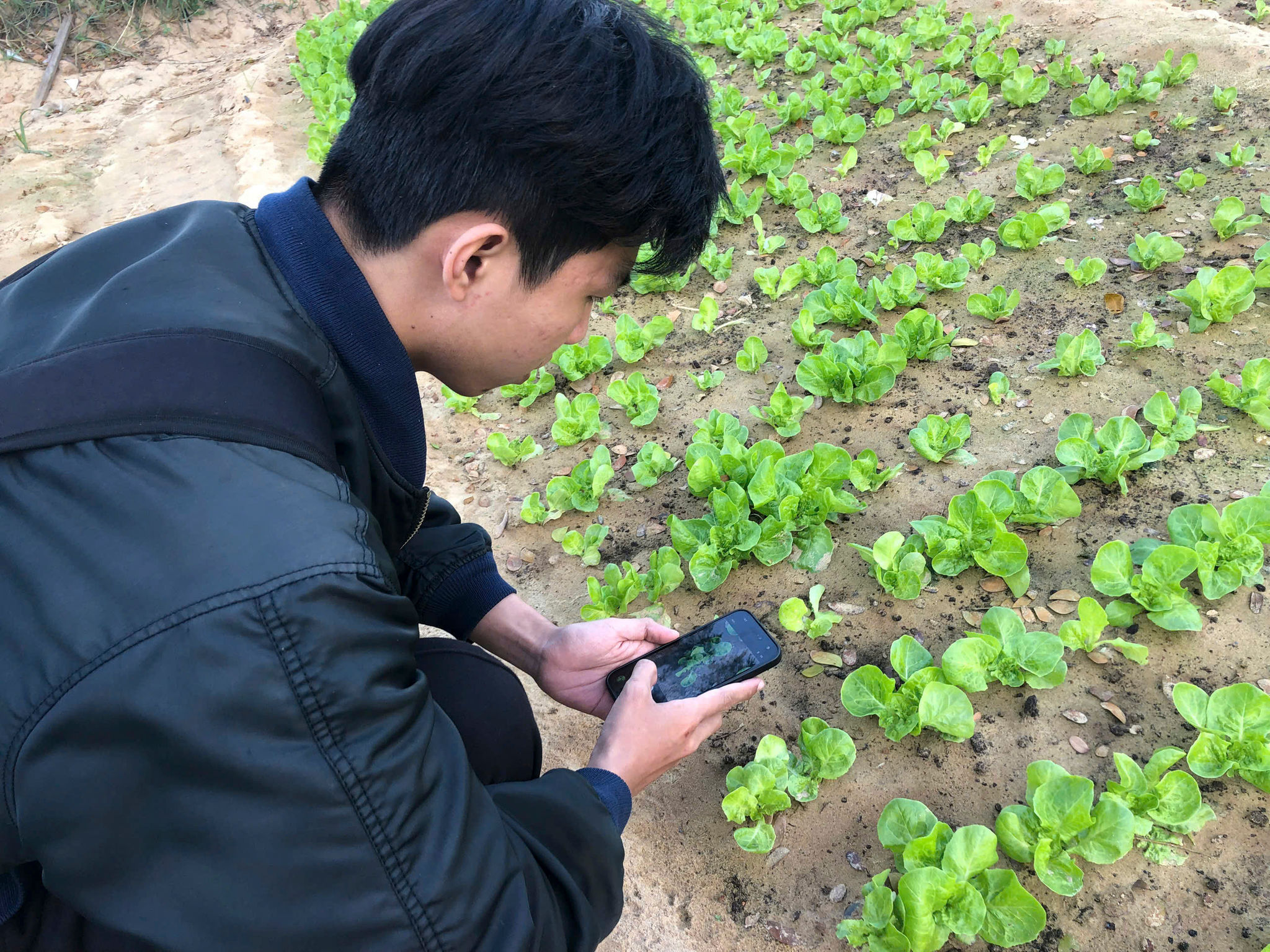 14 Thu thập (2)_edited