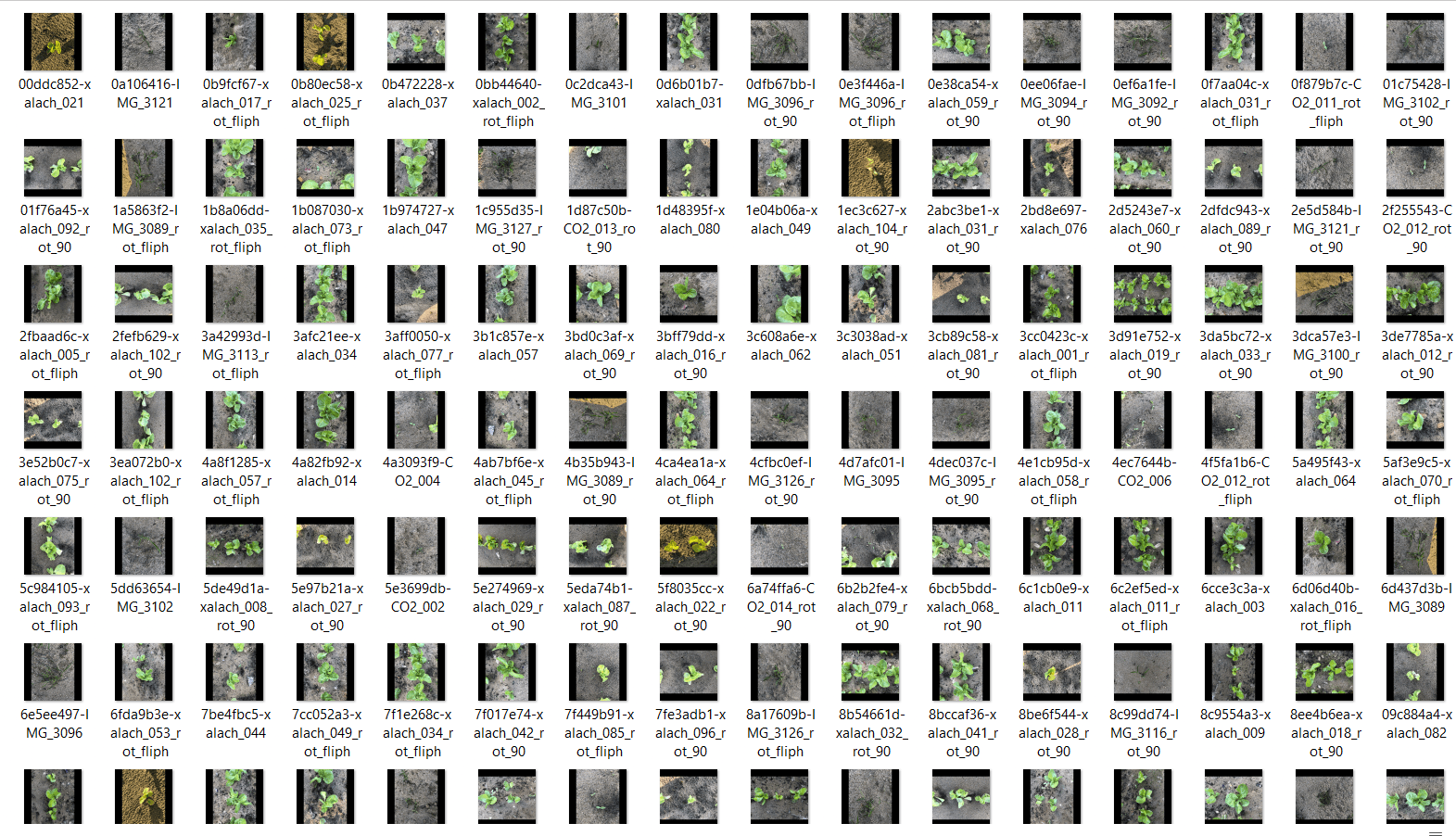 15 Dataset (Một phần)_edited