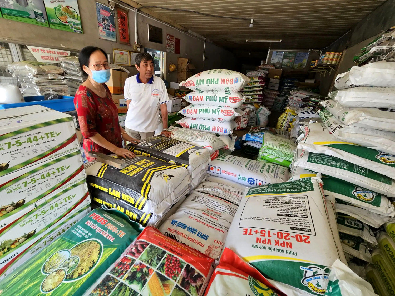 Đối với đề nghị bỏ điều kiện sản xuất giống cây trồng và sản xuất phân bón, Chính phủ cho rằng chưa phù hợp với yêu cầu quản lý. Ảnh: BĐN