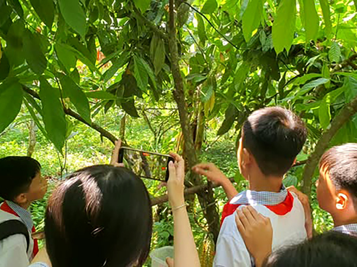 Nhiều trường học đã dẫn các em học sinh vượt quãng đường xa đến thăm và học tập ở Đồi Đá