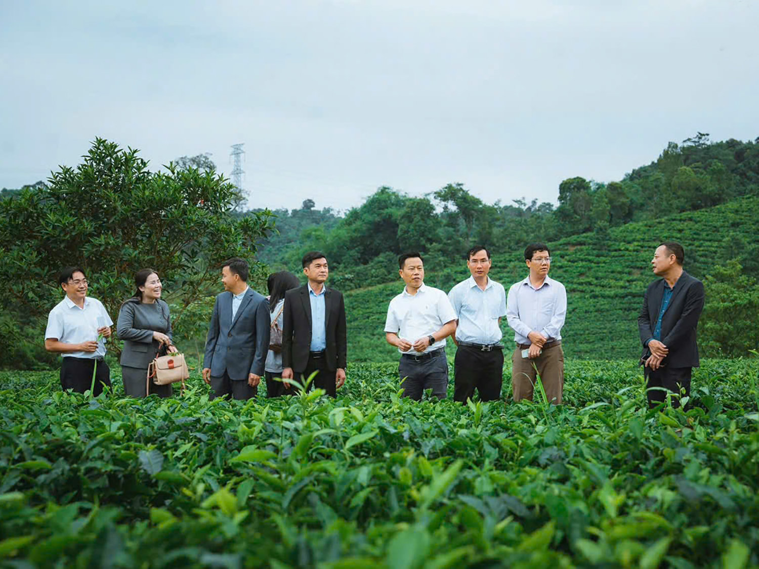 Nhiều đoàn khách đã đến hợp tác xã để thăm quan, tìm hiểu