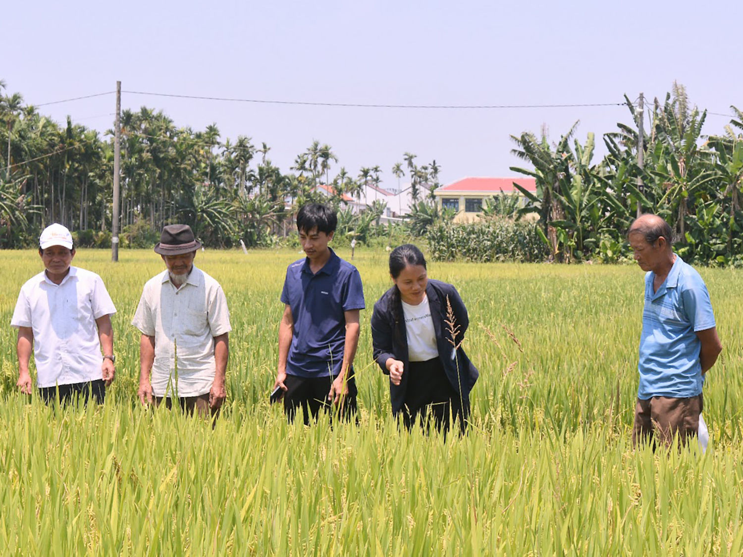 NÔNG DÂN VÀ CÁN BỘ HTX TRAO ĐỔI TRÊN CÁNH ĐÔNG