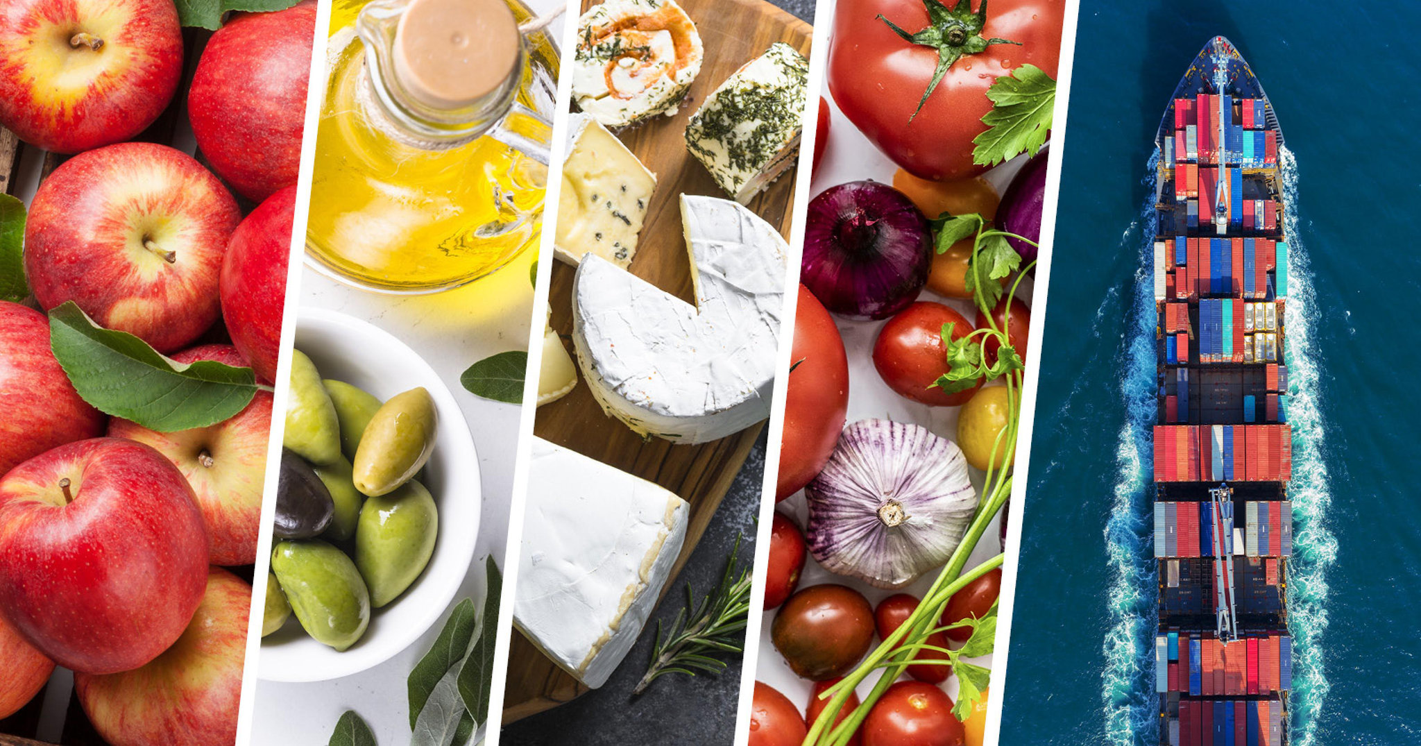 agri-food-trade-report-image.jpg
