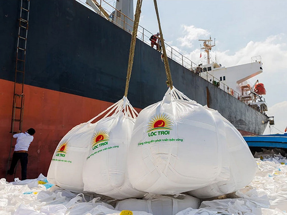 Các doanh nghiệp tập trung sâu vào phân khúc gạo xuất khẩu như thơm, gạo đặc sản, gạo hữu cơ lại chứng minh khả năng chống chịu tốt. Ảnh: BĐT