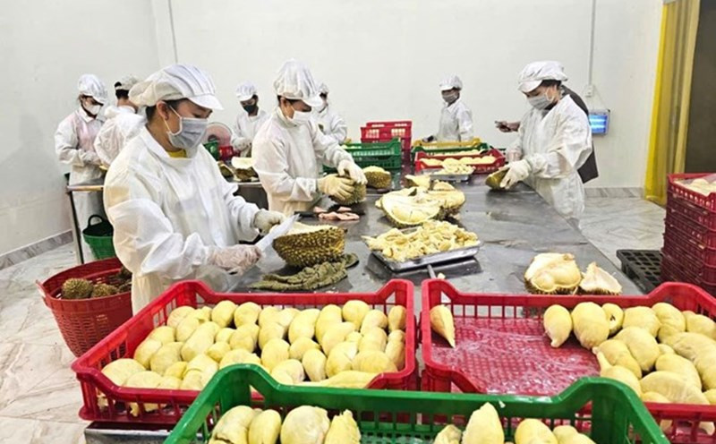 Dòng vốn ưu đãi đổ vào nông nghiệp những tháng cuối năm 