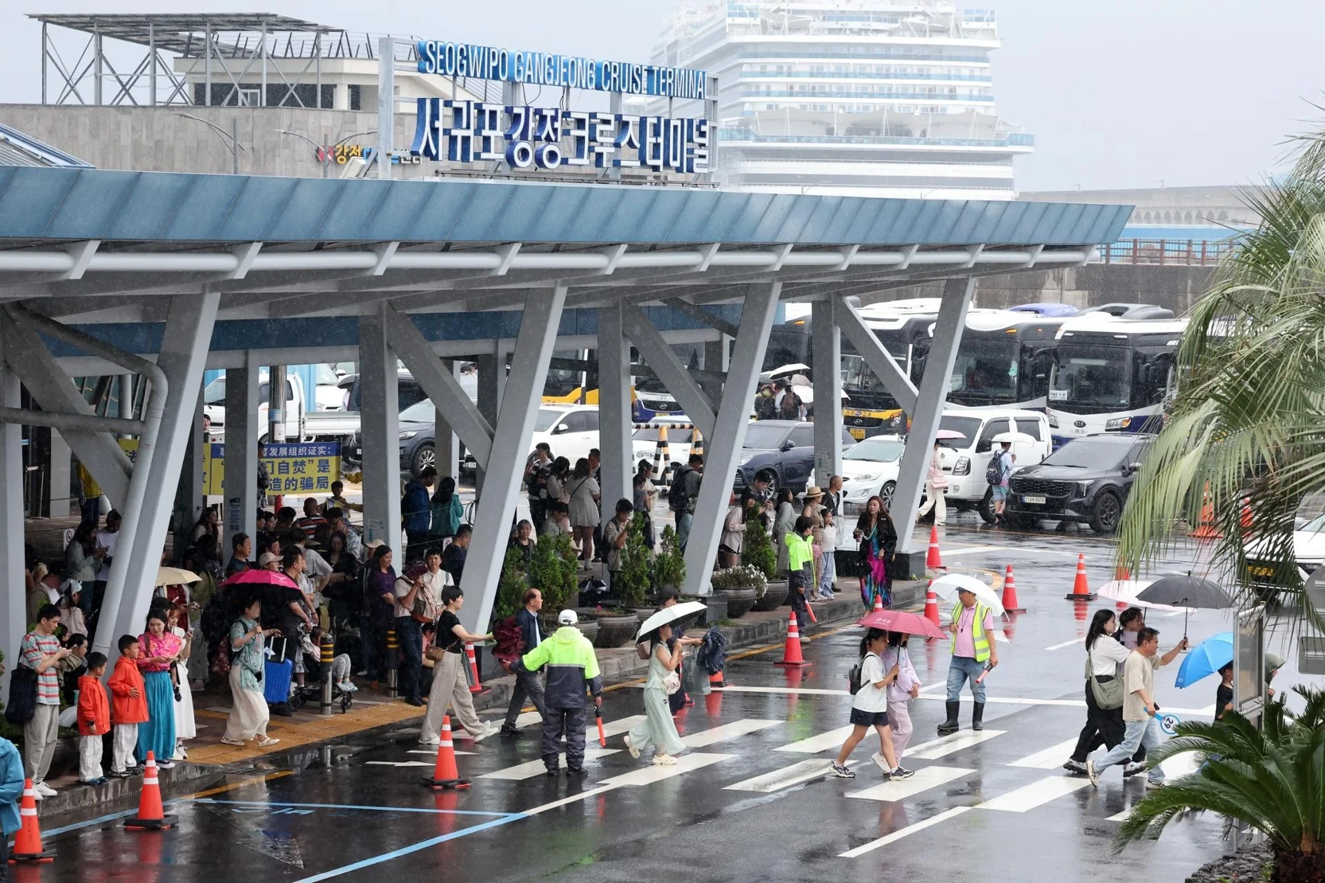 jeju3.webp