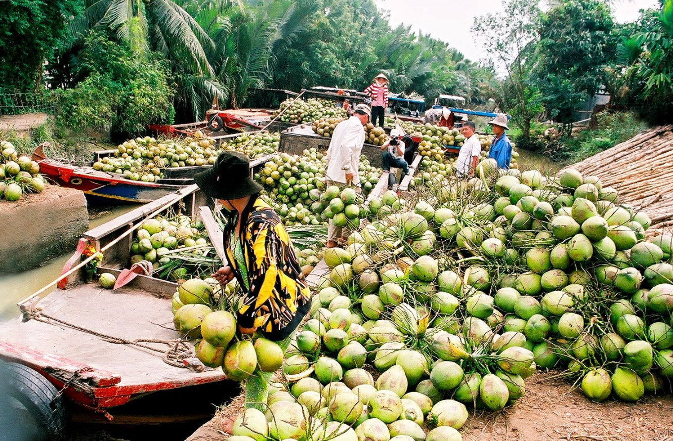 Doanh nghiệp nông sản nào đang ‘lái’ con thuyền vào thị trường Trung Quốc?