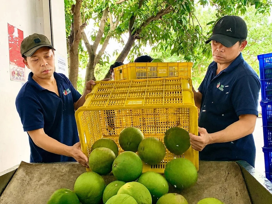 doanh-nghiep-cung-nha-vuon-mo-duong-cho-buoi-xuat-khau-122432_376-220639.jpg