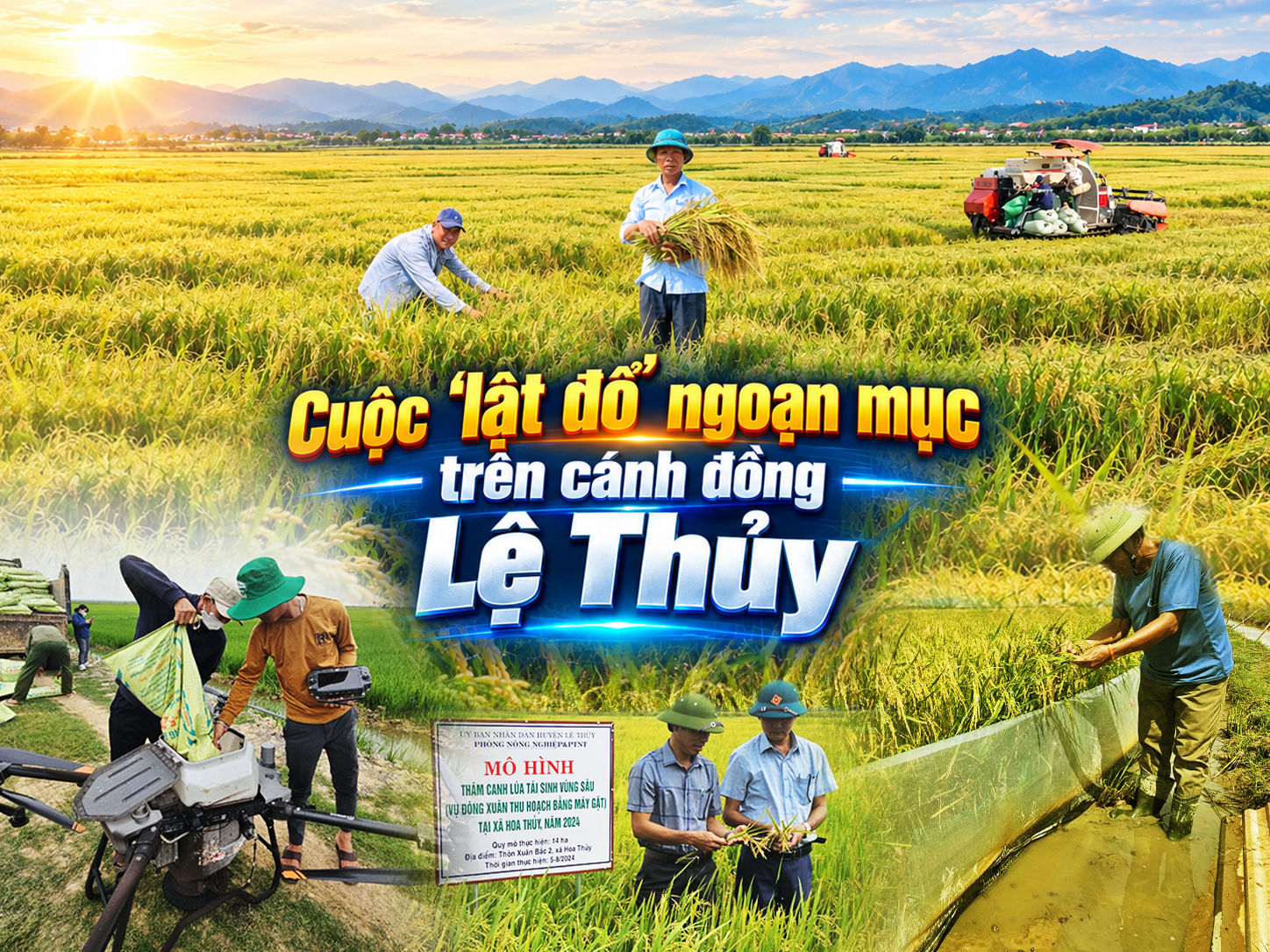 Cuộc ‘lật đổ’ ngoạn mục trên cánh đồng Lệ Thủy: KỲ 2 | Sáu năm làm vụ hè thu, nông dân lãi lớn