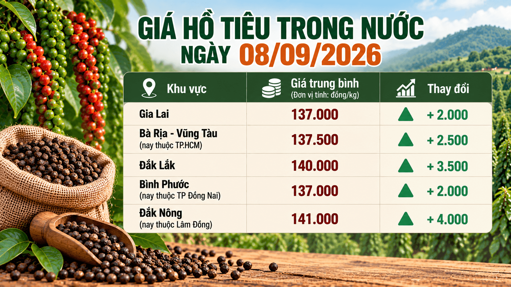 Giá hồ tiêu trong nước bật tăng đến 4.000 đồng/kg.