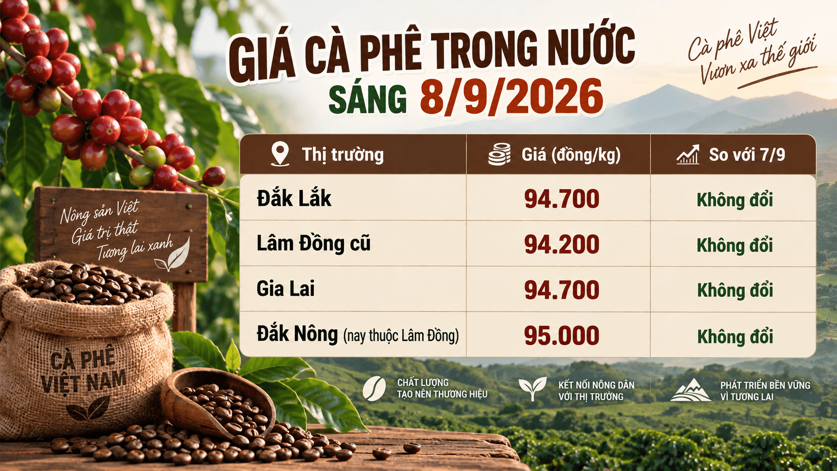 Thị trường cà phê nội địa sáng 8/9/2026 tiếp tục duy trì trạng thái ổn định.
