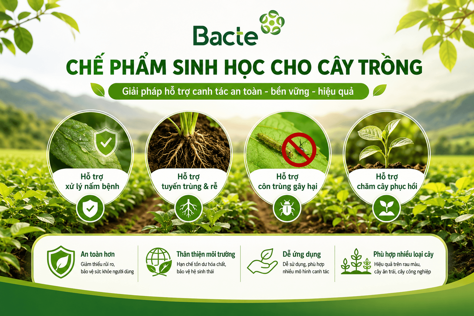 Chế phẩm sinh học cho cây trồng