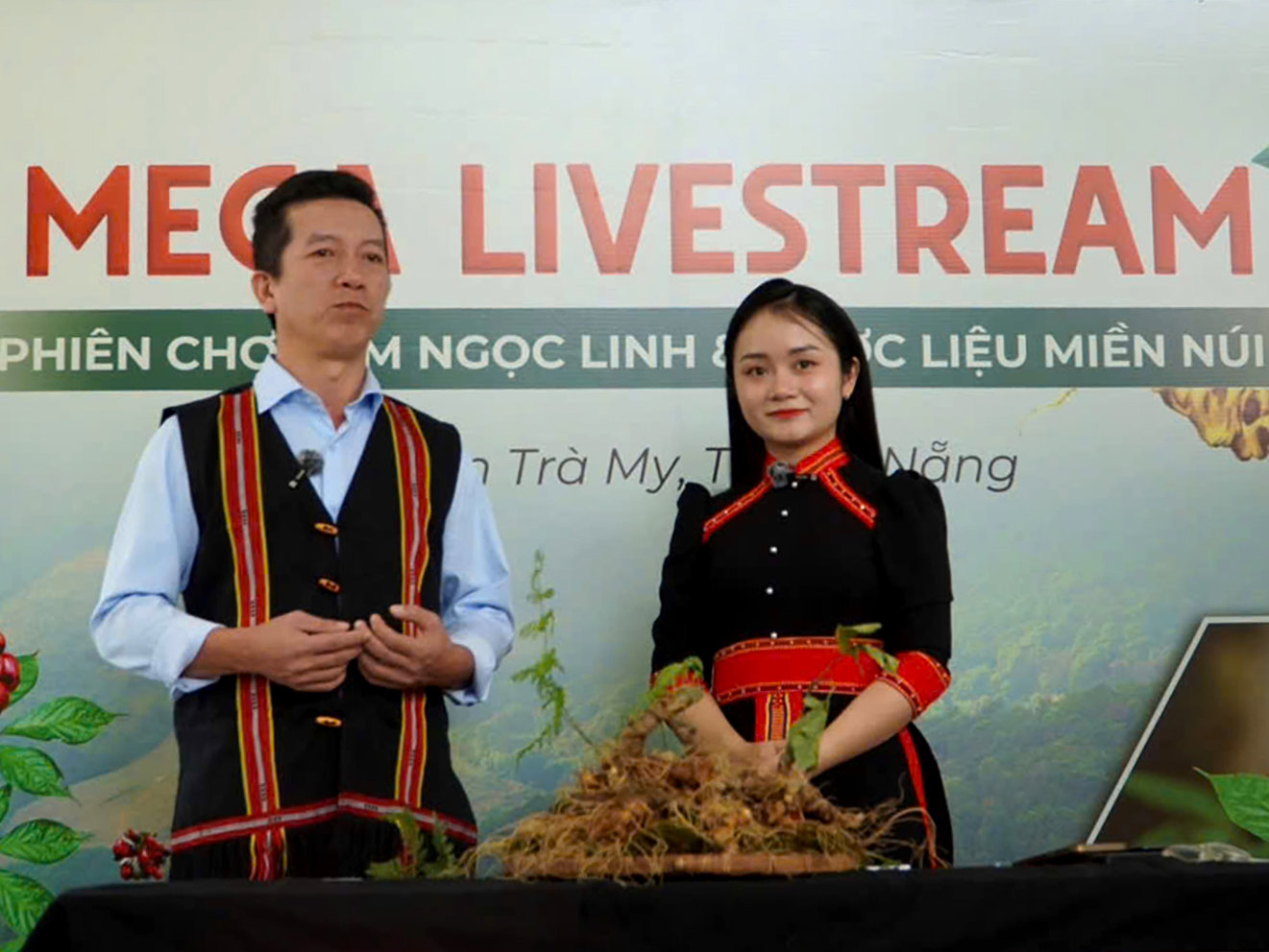Đưa sâm Ngọc Linh lên chợ số: Khi công nghệ bảo chứng niềm tin và mở đường cho dòng vốn lớn