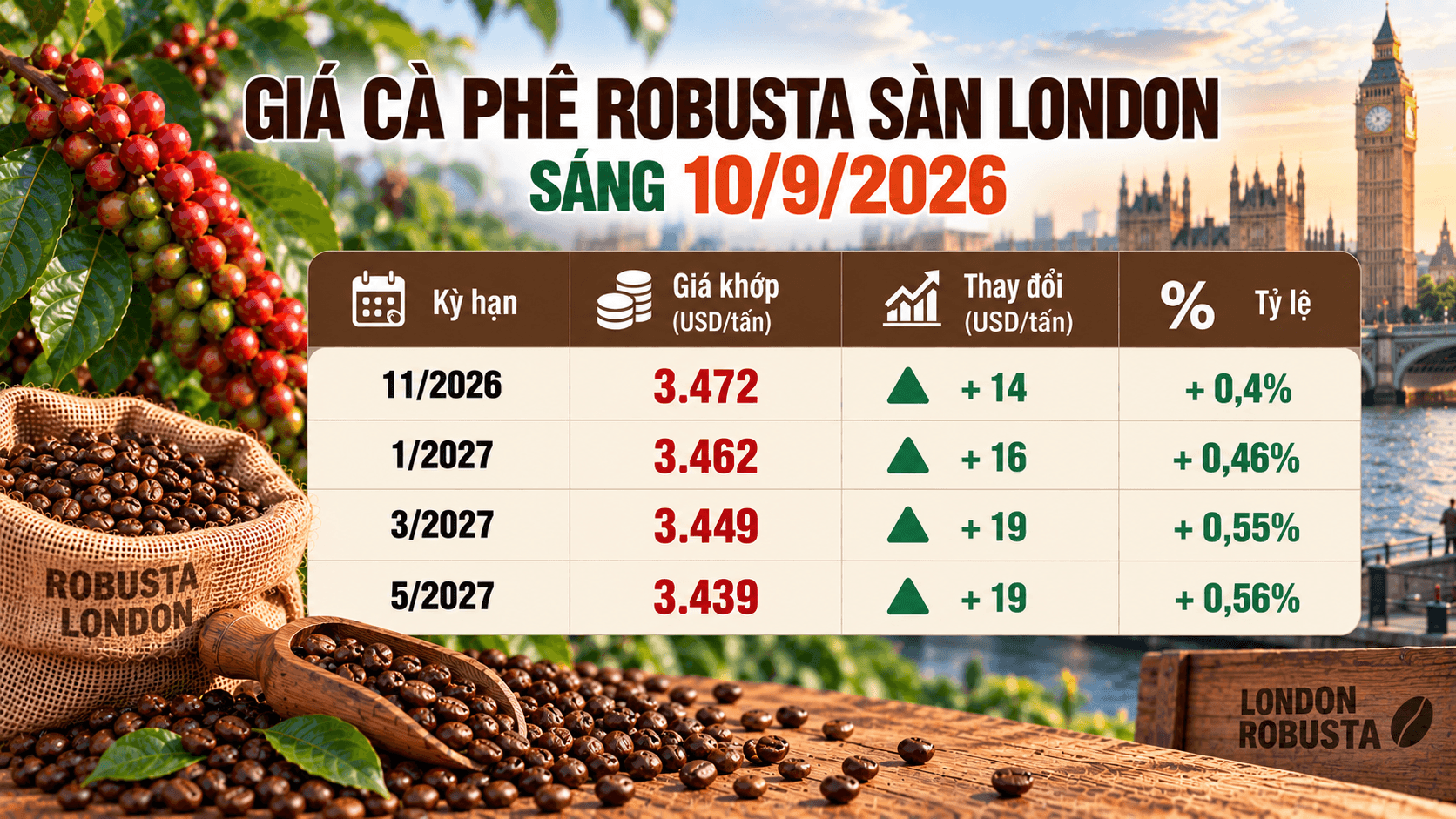 gia-ca-phe-bobusta-10092026.png